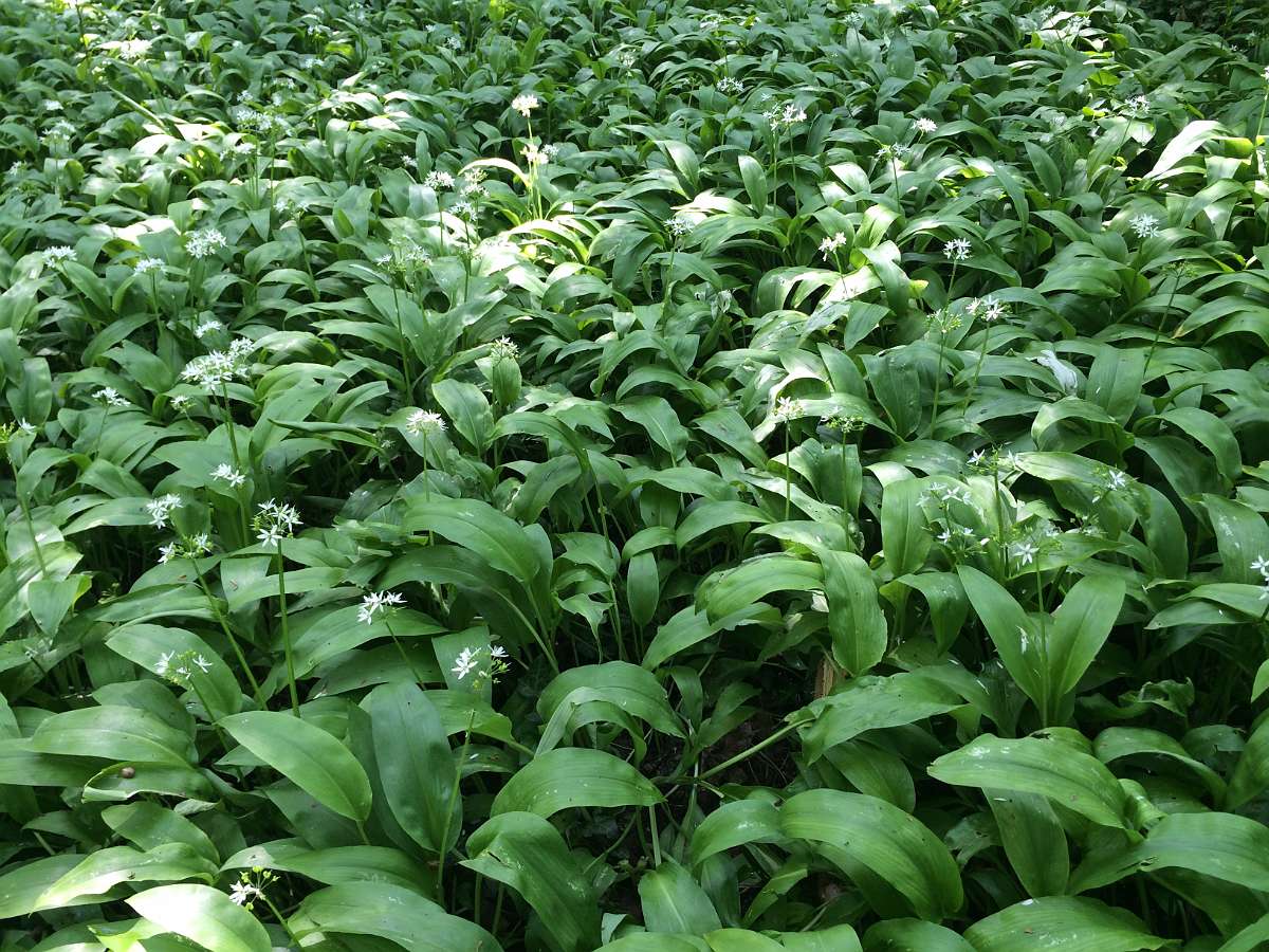 2014-04-30 13-04-58.JPG